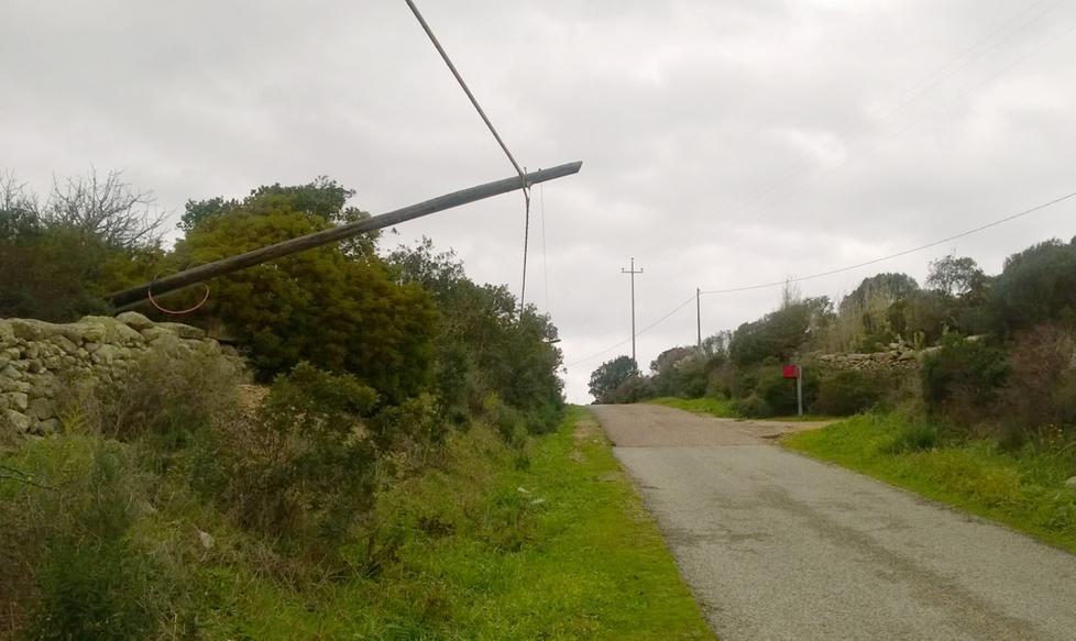 Infiltrazioni a scuola e pali Tim crollati 