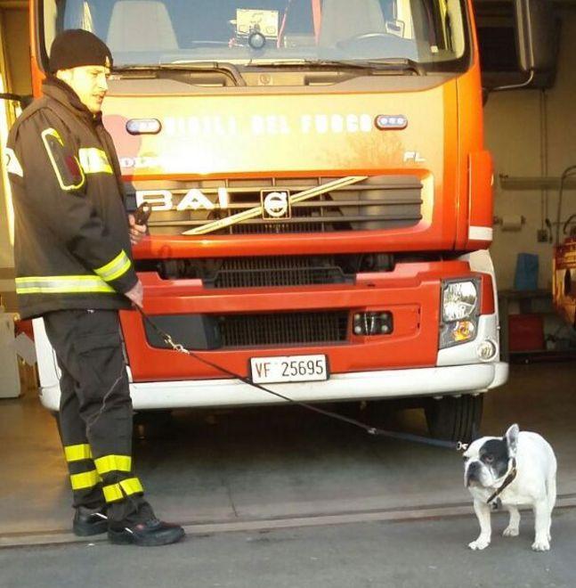 Pompieri “dogsitter” dopo l’incidente 