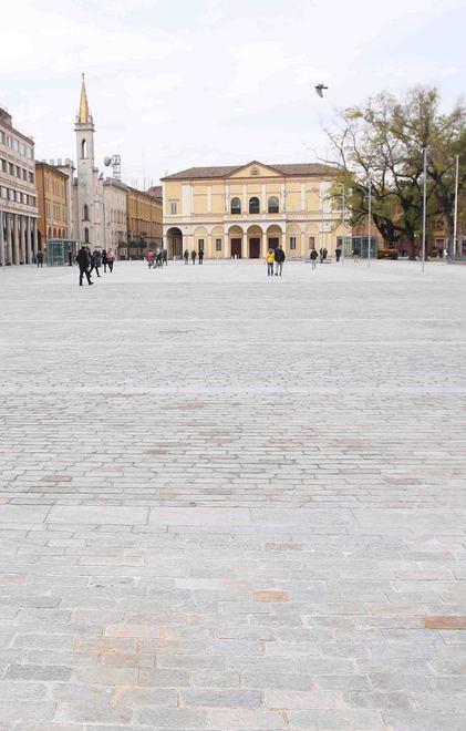 «Alberi, si coinvolgano i cittadini» 
