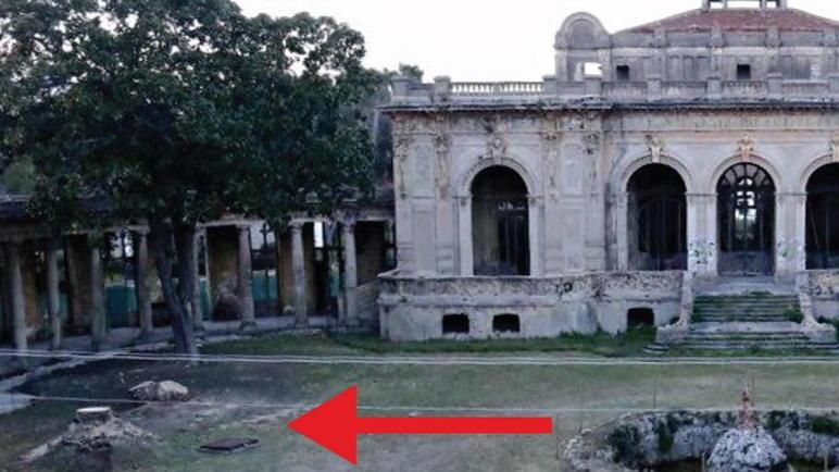 Terme del Corallo, ko tre palme attaccate dal punteruolo rosso