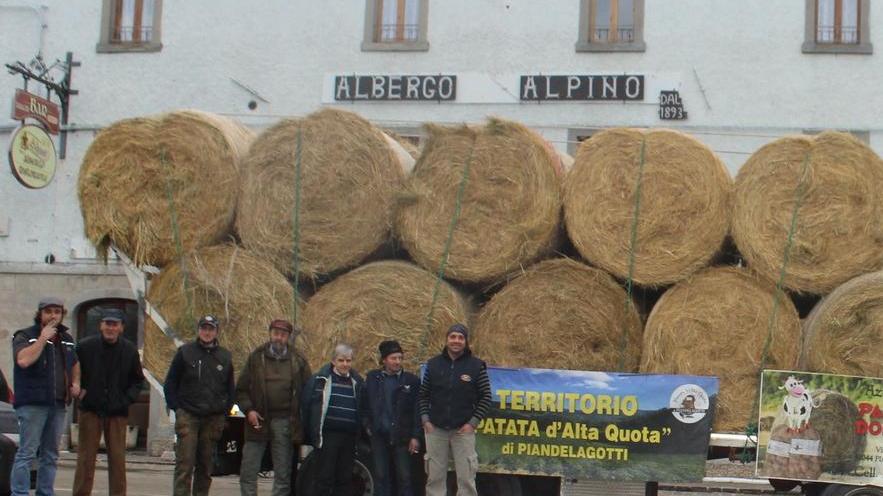 Da Piandelagotti il fieno per i terremotati