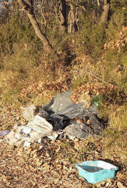Rifiuti nel bosco e nessuno li rimuove