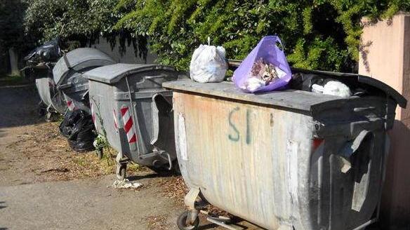 Castiglione della Pescaia avrà l’ispettore ambientale
