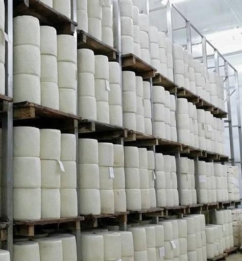 Latte, Coldiretti attacca le imprese ma perde i pastori 