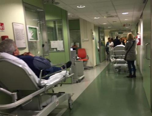 Influenza e cronici, l'Asl di Lucca: "Il 34% muore a 3 giorni dal ricovero"