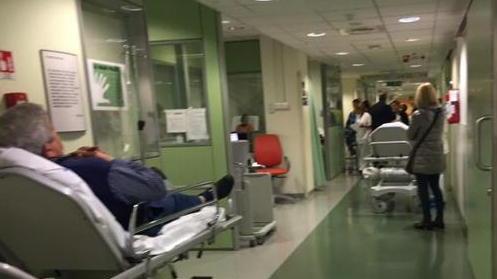 Influenza e cronici, l'Asl di Lucca: "Il 34% muore a 3 giorni dal ricovero"