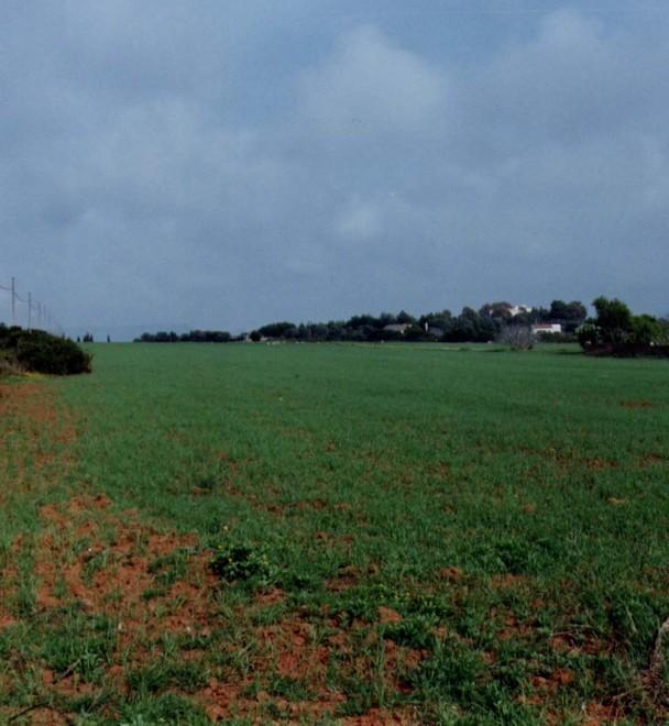 Il maltempo stoppa le domande dei piani di sviluppo rurale 
