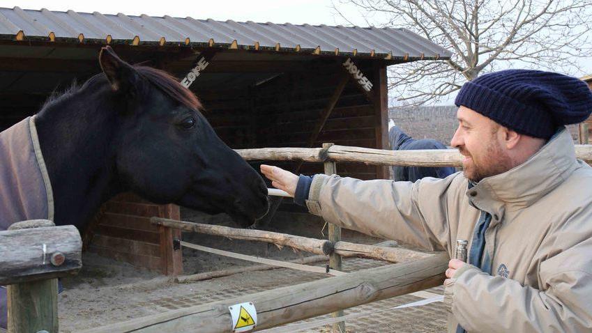 La benedizione ai cavalli per Sant’Antonio Abate