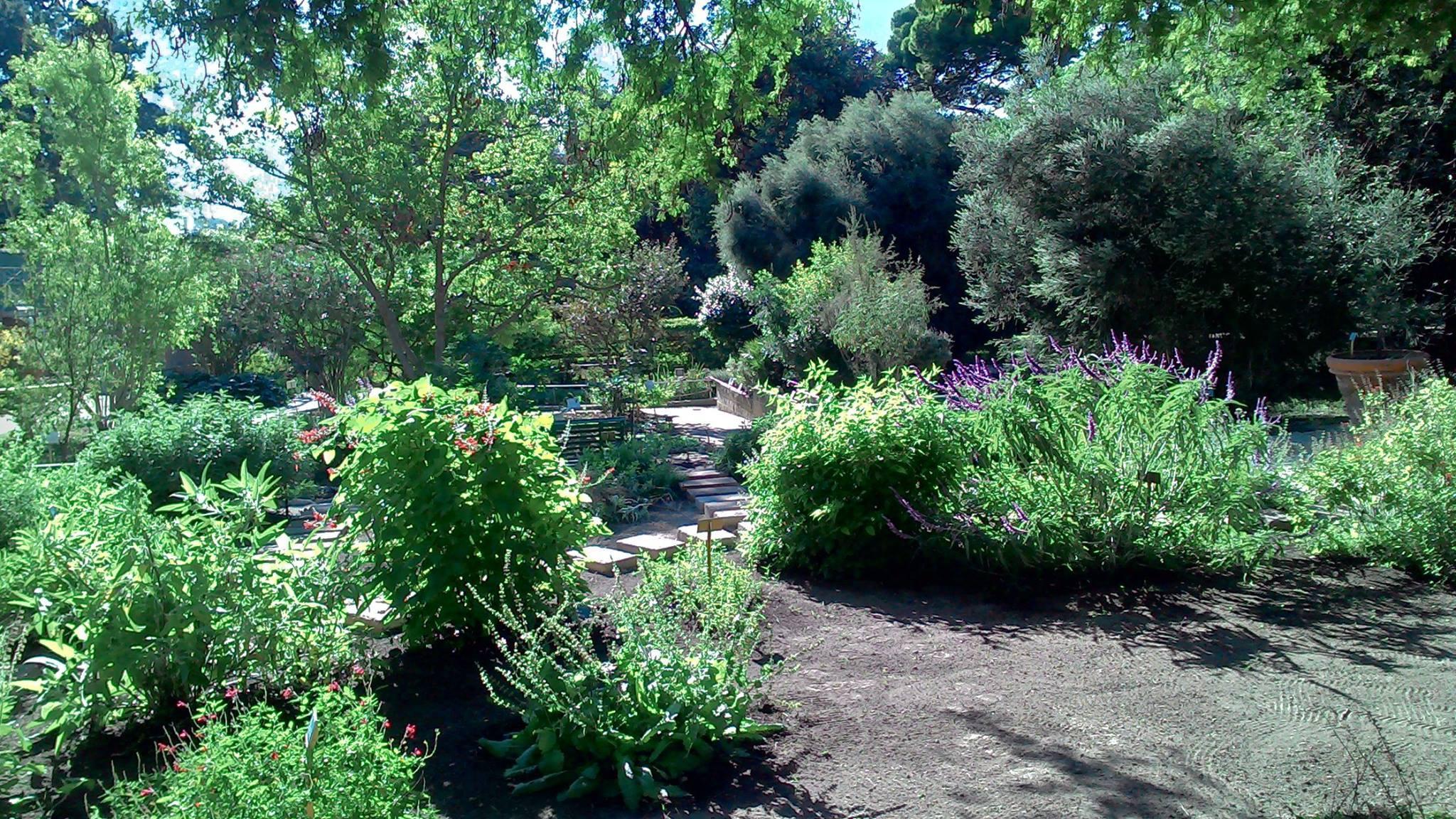 Cagliari, riapre l'Orto botanico danneggiato dal maltempo