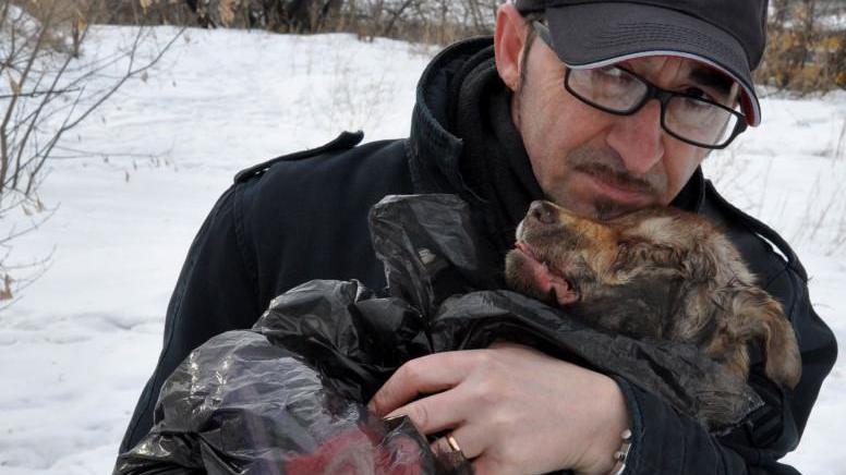 L'animalista Andrea Cisternino mentre soccorre un cane ferito