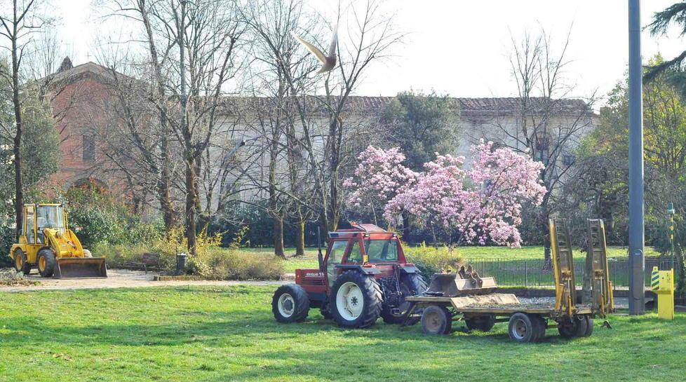 Regione a fianco dei produttori per pianificare il verde urbano
