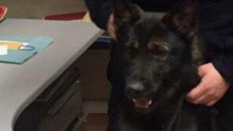Spaccia in Vettovaglie vede i militari e fugge: arrestato sui lungarni