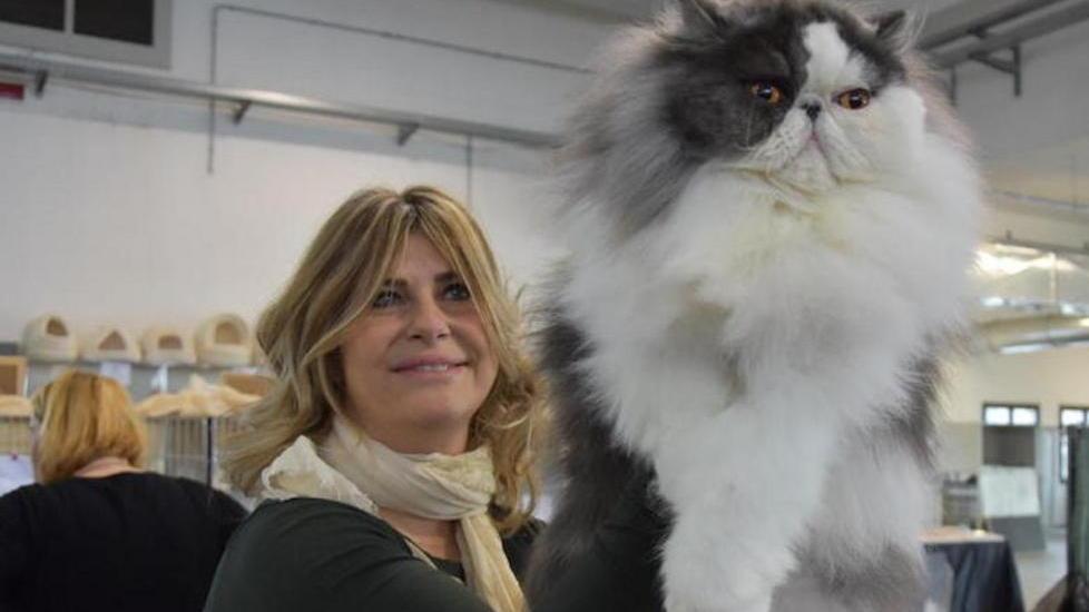I gatti più rari del mondo a Lucca