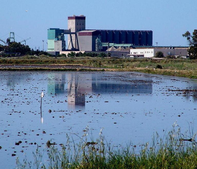 Agroalimentare biologico, sempre più certificazioni 