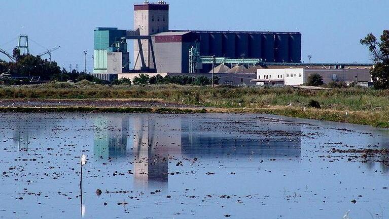 Agroalimentare biologico, sempre più certificazioni