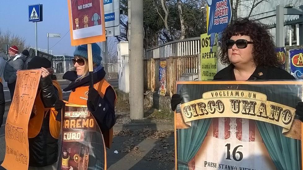 Animali nel circo protesta della Lav al Campovolo