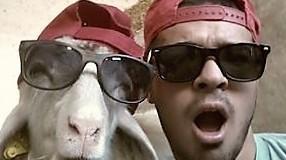 Premiato l’allevatore star del web con Desolina