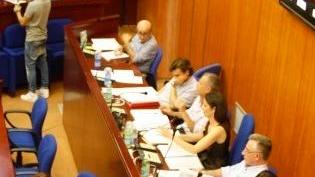 In Consiglio si parla di “gelicidio”