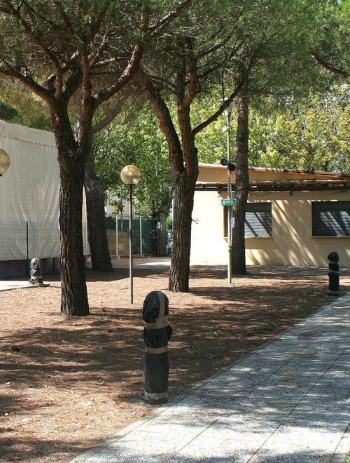 Centro nautico, salta l’iter d’acquisto 