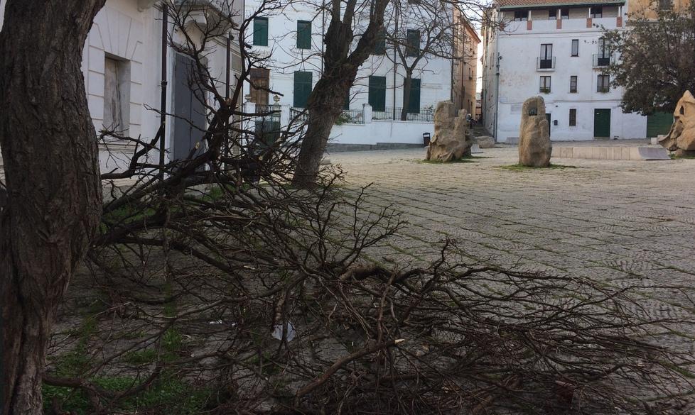 Dimenticati i rami caduti con la neve