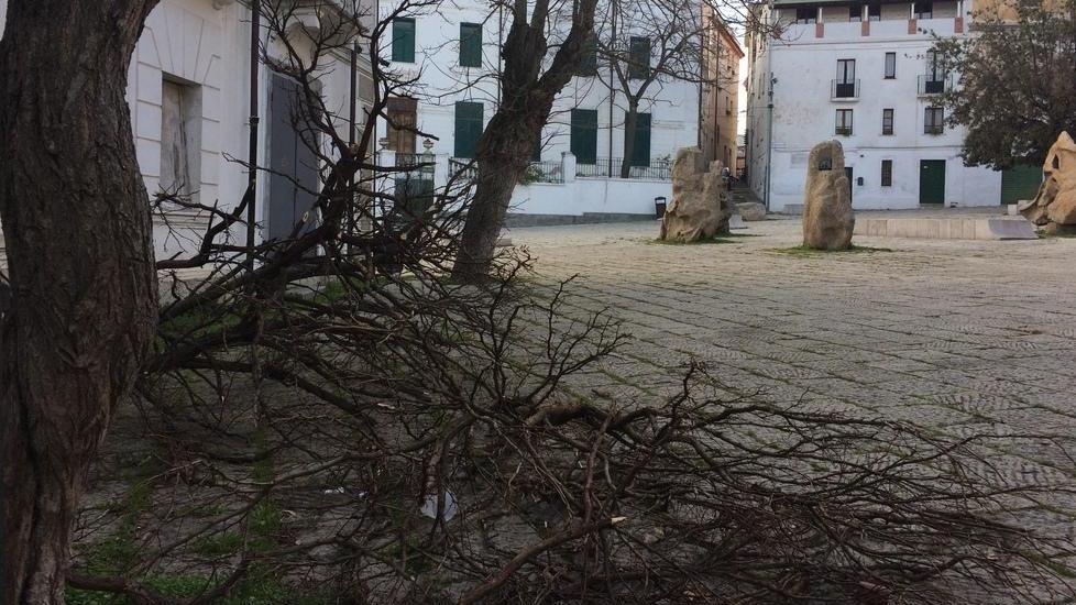 Dimenticati i rami caduti con la neve