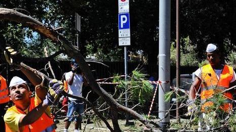 I migranti lavoreranno alle piccole manutenzioni