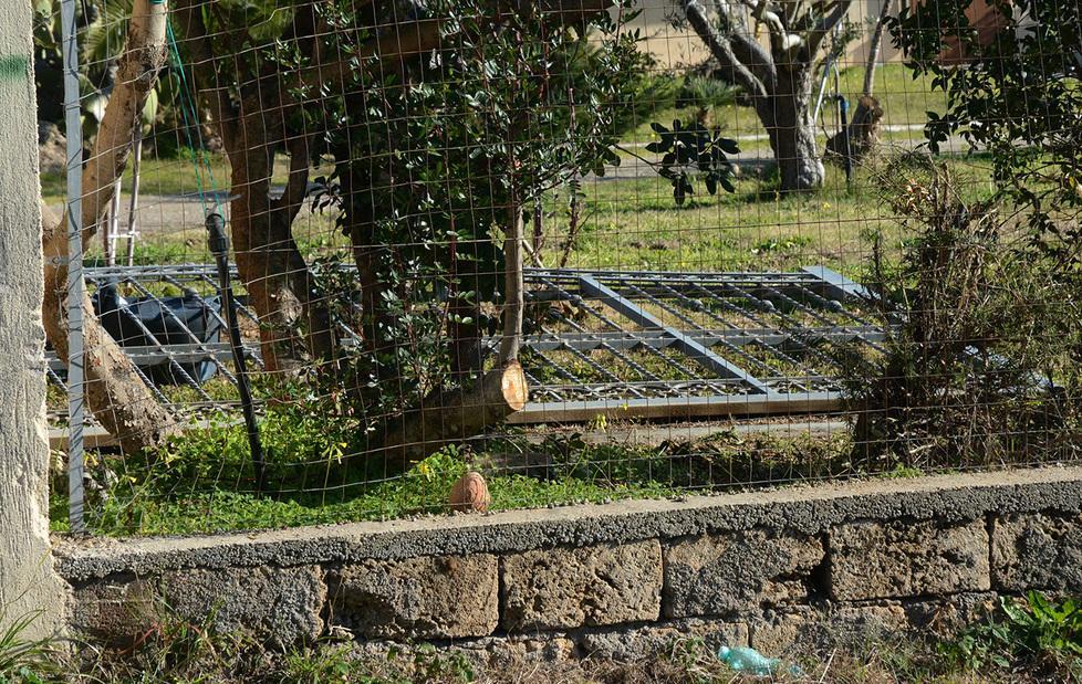 Operaio morto, patteggiamento 