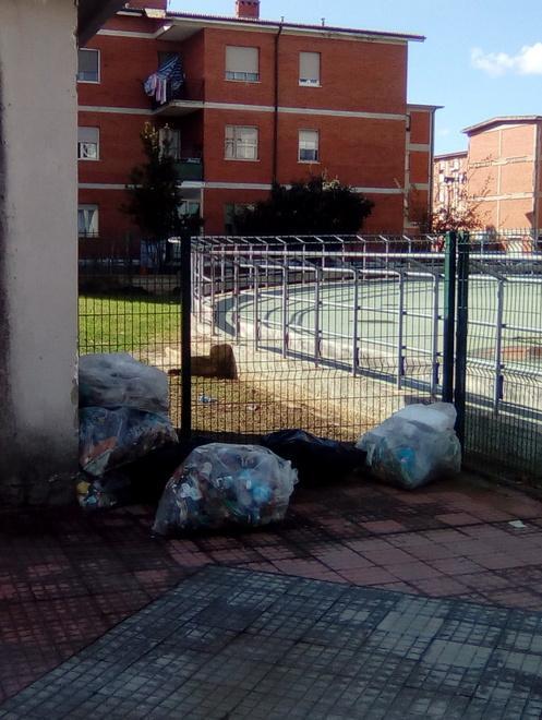 Rifiuti raccolti e dimenticati 