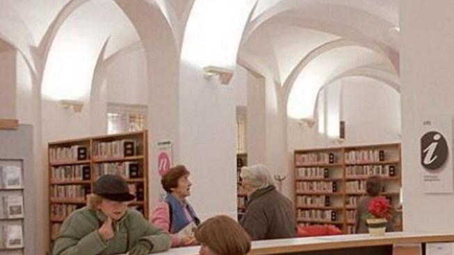 Delfini, è stata riattivata la torre libraria
