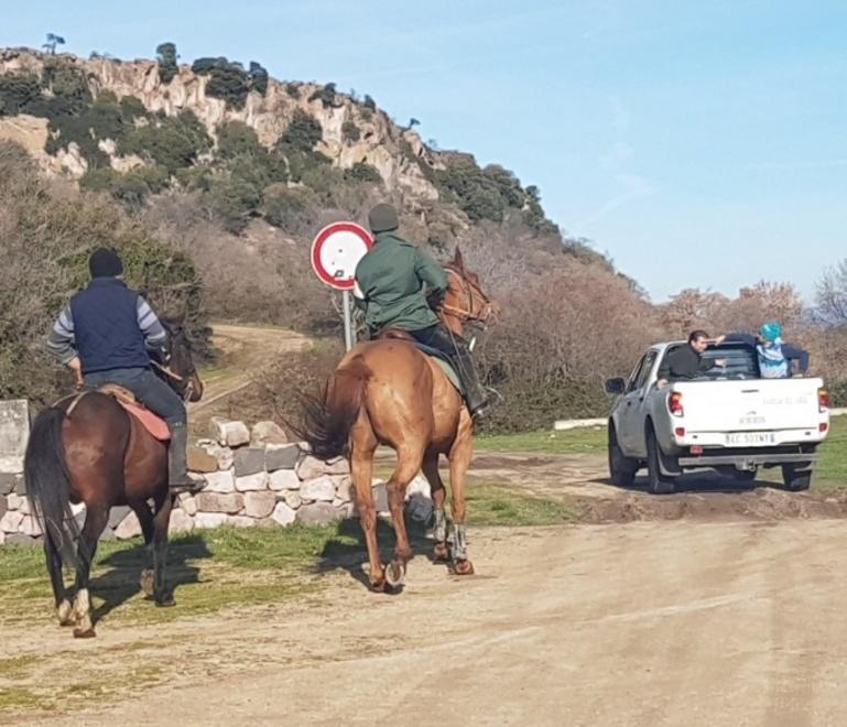 Far West nel parco Mariani tra le bestie inselvatichite 