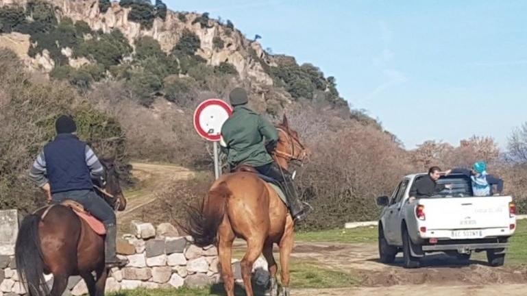 Far West nel parco Mariani tra le bestie inselvatichite