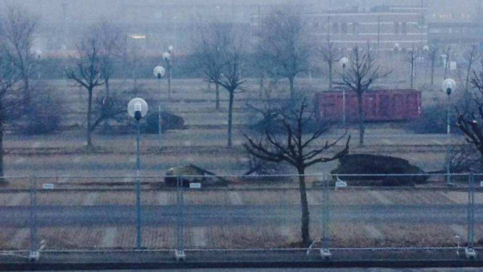 «Una strage di alberi in piazzale Europa»