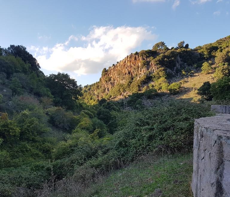 Lotti del parco Mariani destinati all’allevamento 