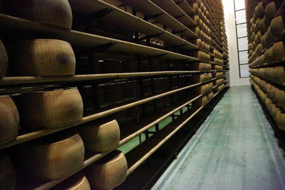 Assalto al caseificio, rubate 70 forme di Parmigiano Reggiano