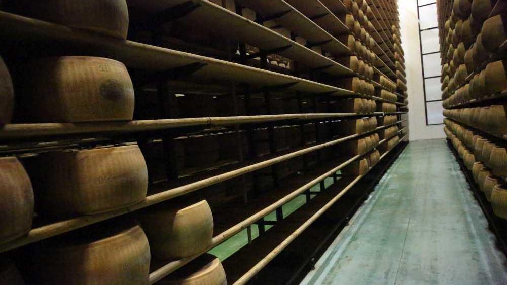 Assalto al caseificio, rubate 70 forme di Parmigiano Reggiano