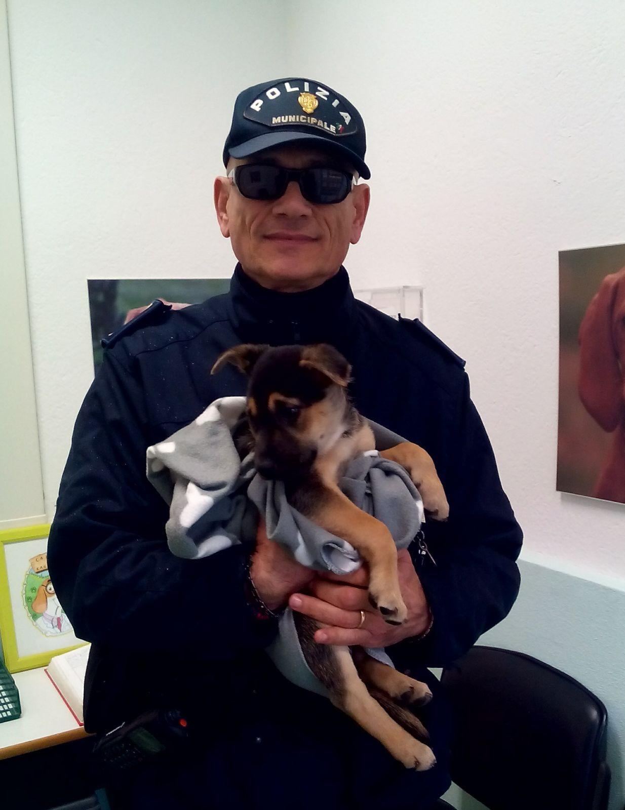 Uno dei cuccioli salvati dalla polizia municipale (foto di Mario Rosas)
