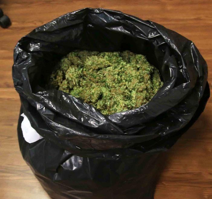 marijuana