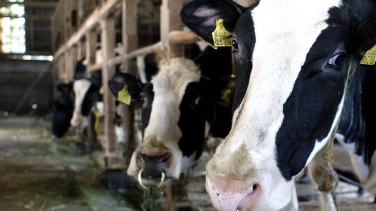 le priorità e i progetti di un colosso italiano dell’agricoltura