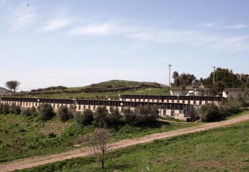Nuovo bando per gestire il canile 