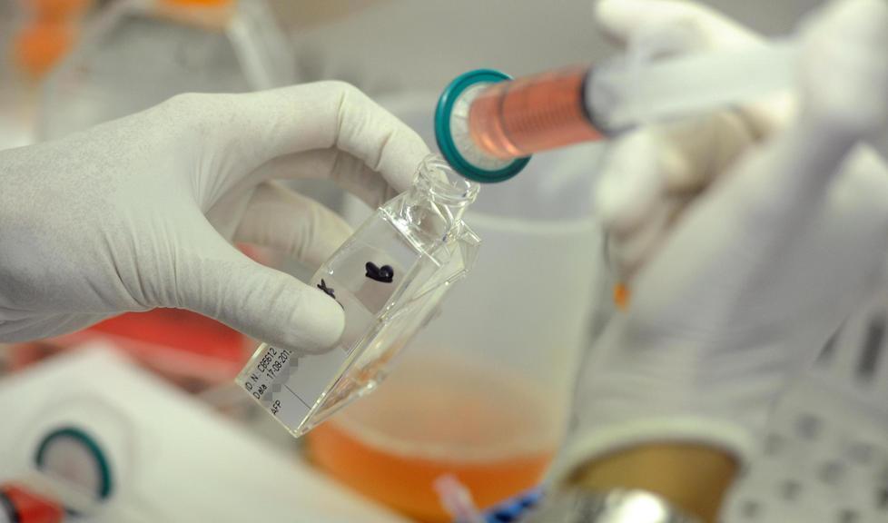 Il dna dei sardi è unico in Europa È lo stesso dei loro avi nuragici 