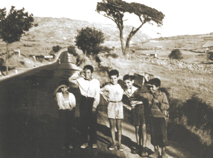 Un equivoco tra gli orti e le vigne 