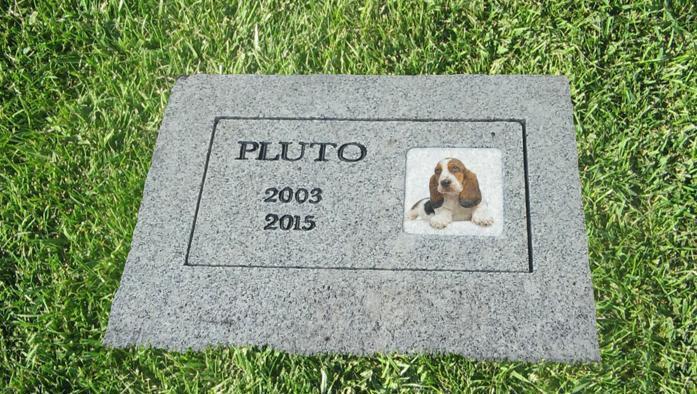 Un cimitero degli animali vicino all'autostrada