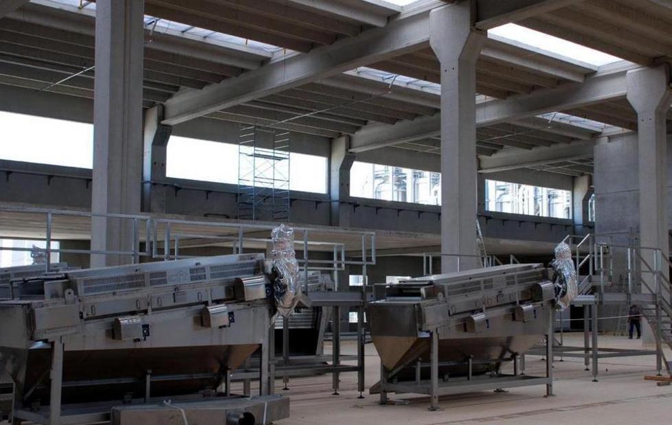 Ferrara Food ha un debito di 11 milioni con le aziende 
