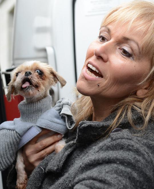 Serramazzoni: Chihuahua sequestrati: il giudice rovescia l’accusa 