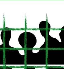LasciateCIEntrare, campagna contro i centri di espulsione