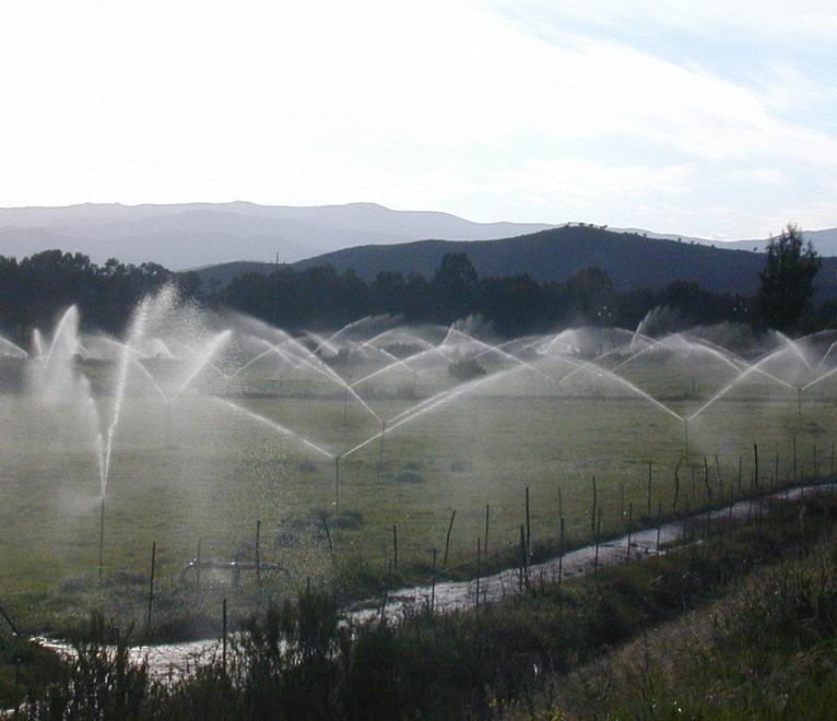 Bollette per l’irrigazione, sindaci contro la stangata 
