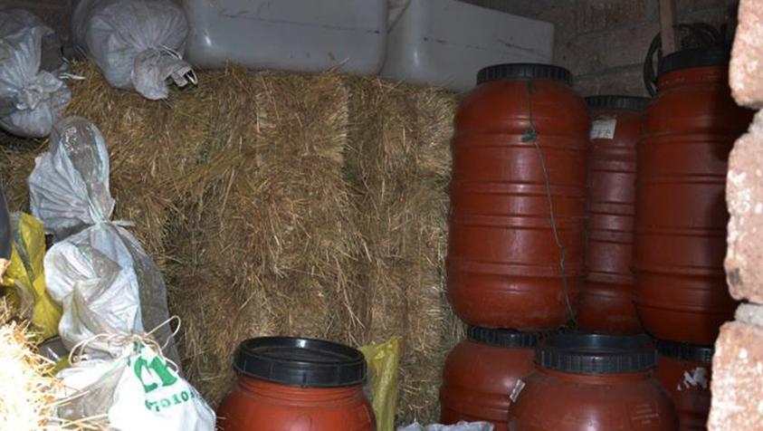 Maxi sequestro di marijuana, patteggia due anni e mezzo 