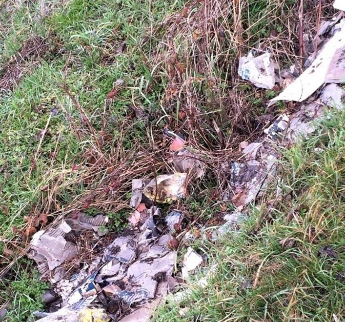 Rifiuti abbandonati nei fossi e nel canale in via Caseggiato