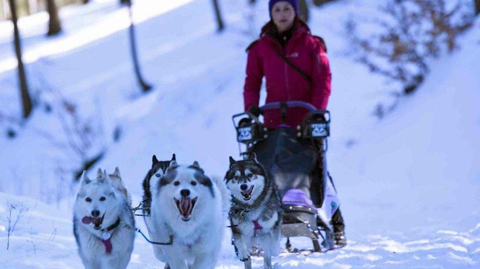 “Balla coi lupi” conquista il crinale con i cani da slitta