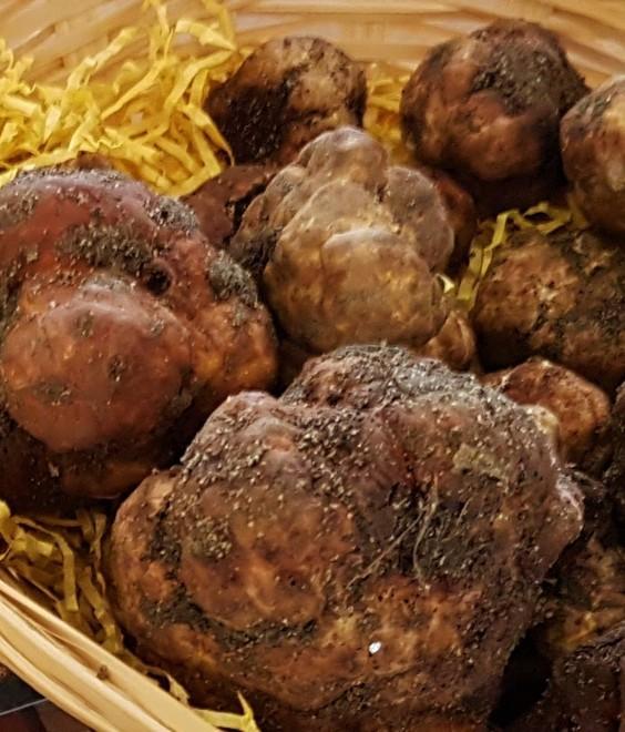 Il tartufo estense tra tavola e turismo
